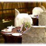 【武勇伝】ウエディングプランナーをしてるのだが、とあるDQNカップルが予約済みの日時に式を挙げたいと言い出した。「俺が話つけるから予約入れてる奴の連絡先教えろ」だの「いくら出したらキャンセルさせられるか」だのとあまりの言い分だったので…。