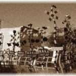 【不気味な体験談】10年前、幼稚園児だった頃に踏切で人身事故があった